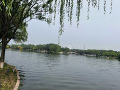 -石家庄市植物园