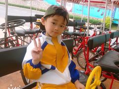 -美的鹭湖探索王国