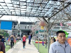 -小鱼草莓采摘园农家乐·小鱼餐厅