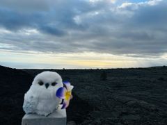 -夏威夷火山国家公园