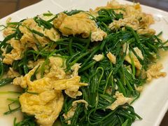 -靖远尕六美味羊羔肉