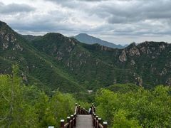 -大岭沟猕猴桃谷风景区
