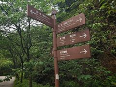 -广州市流溪河国家森林公园