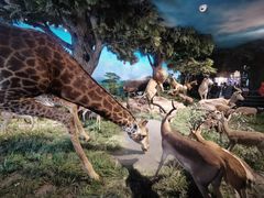 -国家自然博物馆