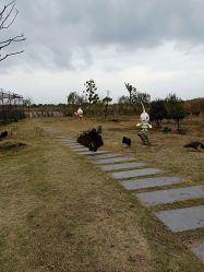 -水八仙生态园