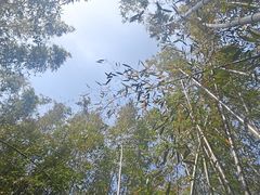 -祥源·阜阳生态乐园