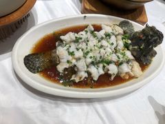 古法蒸石斑鱼-红城阁·上海味道(四平路店)