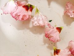 -鸿山公园