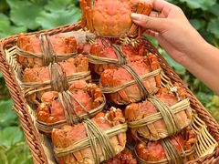-七的湖·晚芳亭·阳澄湖农家菜·大闸蟹(莲花岛店)