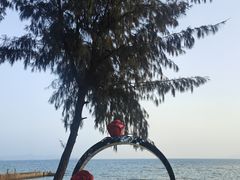 -玫瑰海岸文化旅游度假区