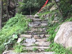 -北京鹫峰国家森林公园