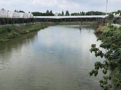 -马陆小张葡萄园农家乐