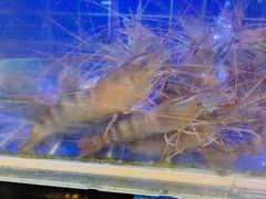 -三个渔夫·蒸汽海鲜(小白楼店)