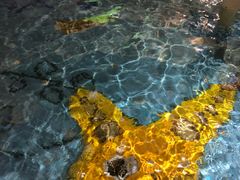 -水晶之星洗浴温泉汗蒸