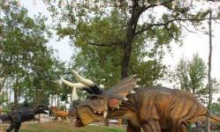 -恐龙探索乐园(磁器口店)