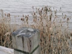 -上海吴淞炮台湾国家湿地公园