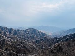 -大岭沟猕猴桃谷风景区