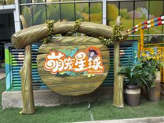 -海合安成都极地海洋公园