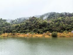 -致友月子会所旗舰店