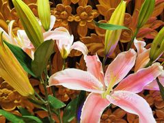 -紫莲花足道(柯桥古镇店)