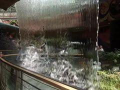 -花之城