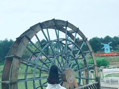 -铁山坪森林公园