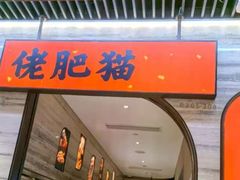 -佬肥猫(国华广场店)