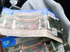 -南宁良凤江国家森林公园