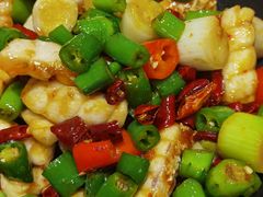 -港升鱼师傅·中山脆肉鲩