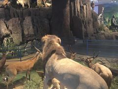 -陕西自然博物馆