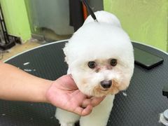 -沐沐家宠物(成寿寺店)