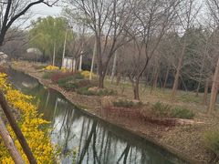 -北坞公园