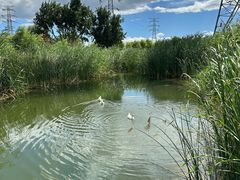 -永定河休闲森林公园