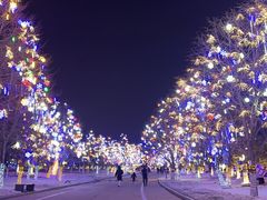 -长春世界雕塑园冰雪艺术天地