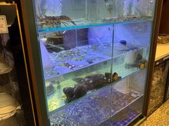 -皮蛋弟砂锅店(总店)
