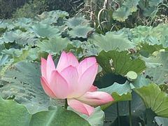 -春暖花开(西溪店)