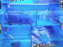 -韩妹鱼庄·泸定老字号(泸定店)