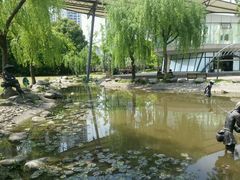 android_upload_pic-苏州河梦清园环保主题公园