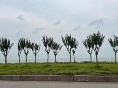 -宾湖农庄·农场特色(太湖龙之梦店)