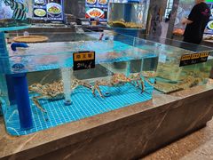 -大连湾旭日饭店(大连湾店)
