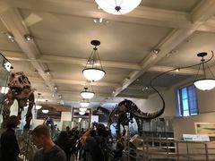 -美国自然历史博物馆