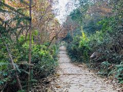 -虞山风景区