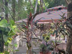 -陶缘一号·四季缘·老字号顺德菜·户外婚礼家宴(西滘店)