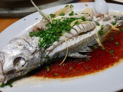 清蒸白花鱼-海上驿站渔家菜馆