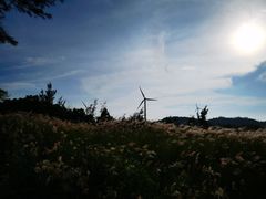 -汕尾风车岛