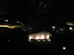 -杭州西湖柳莺里酒店