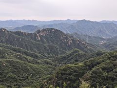 -大岭沟猕猴桃谷风景区
