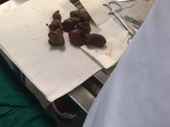 -乐嘟嘟宠物医院