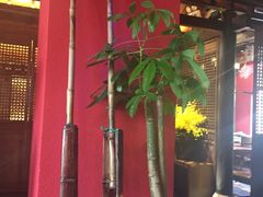 -颐和•海鲜砂锅粥•啫啫煲(奥林匹克广场店)