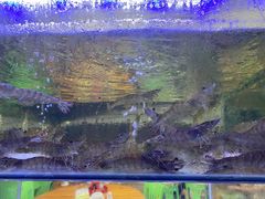 -海之鲜大排档(东山海鲜金銮湾店)